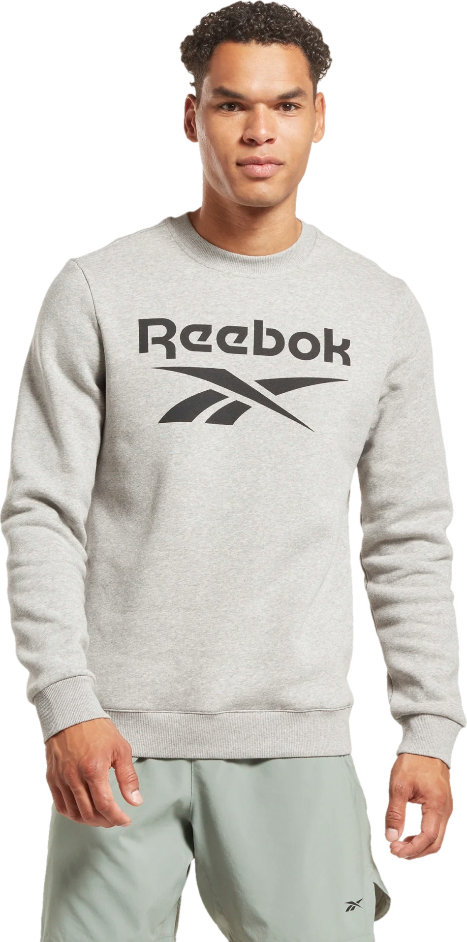 Свитшот Reebok Ri Big Stacked Logo Crew