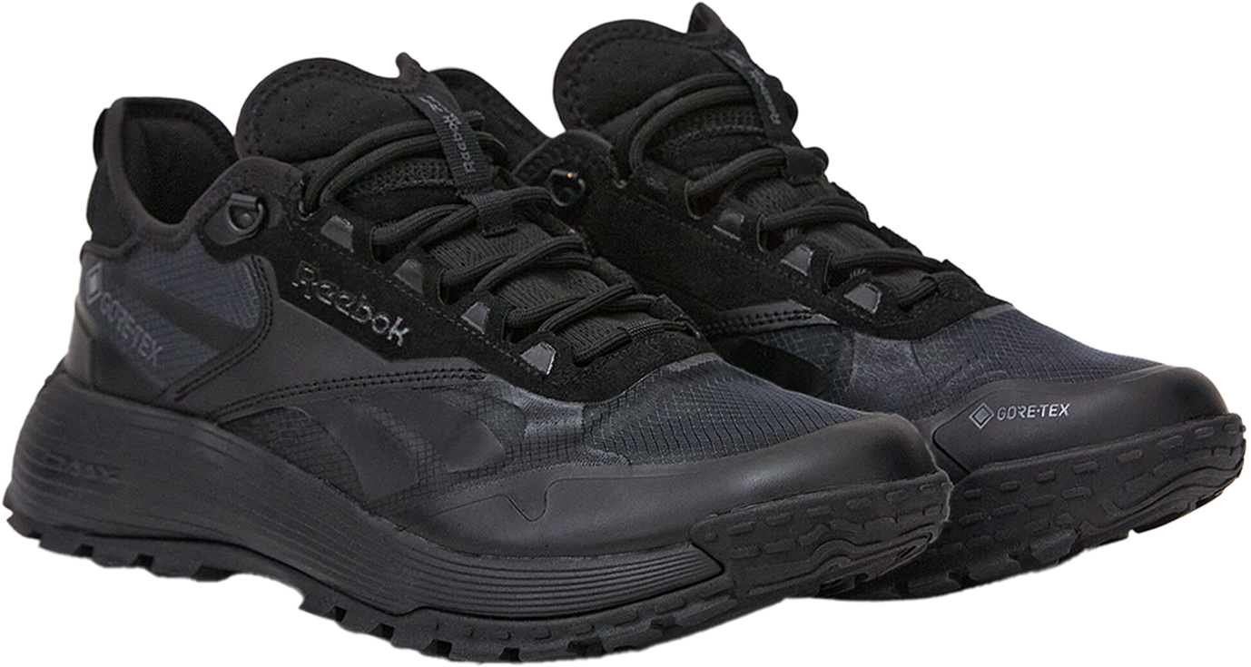 Кроссовки Reebok DMX Trail GTX