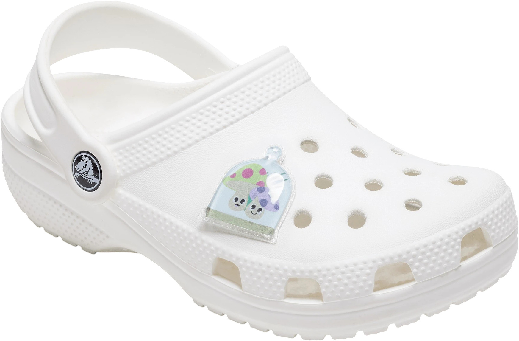 Джибитс Crocs Terrarium Friends