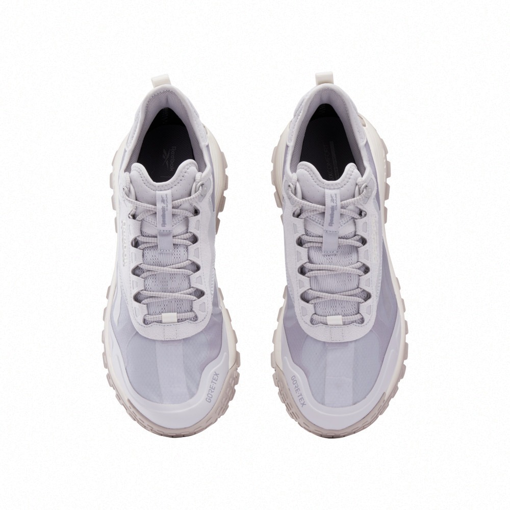Кроссовки Reebok Dmx Trail Gtx