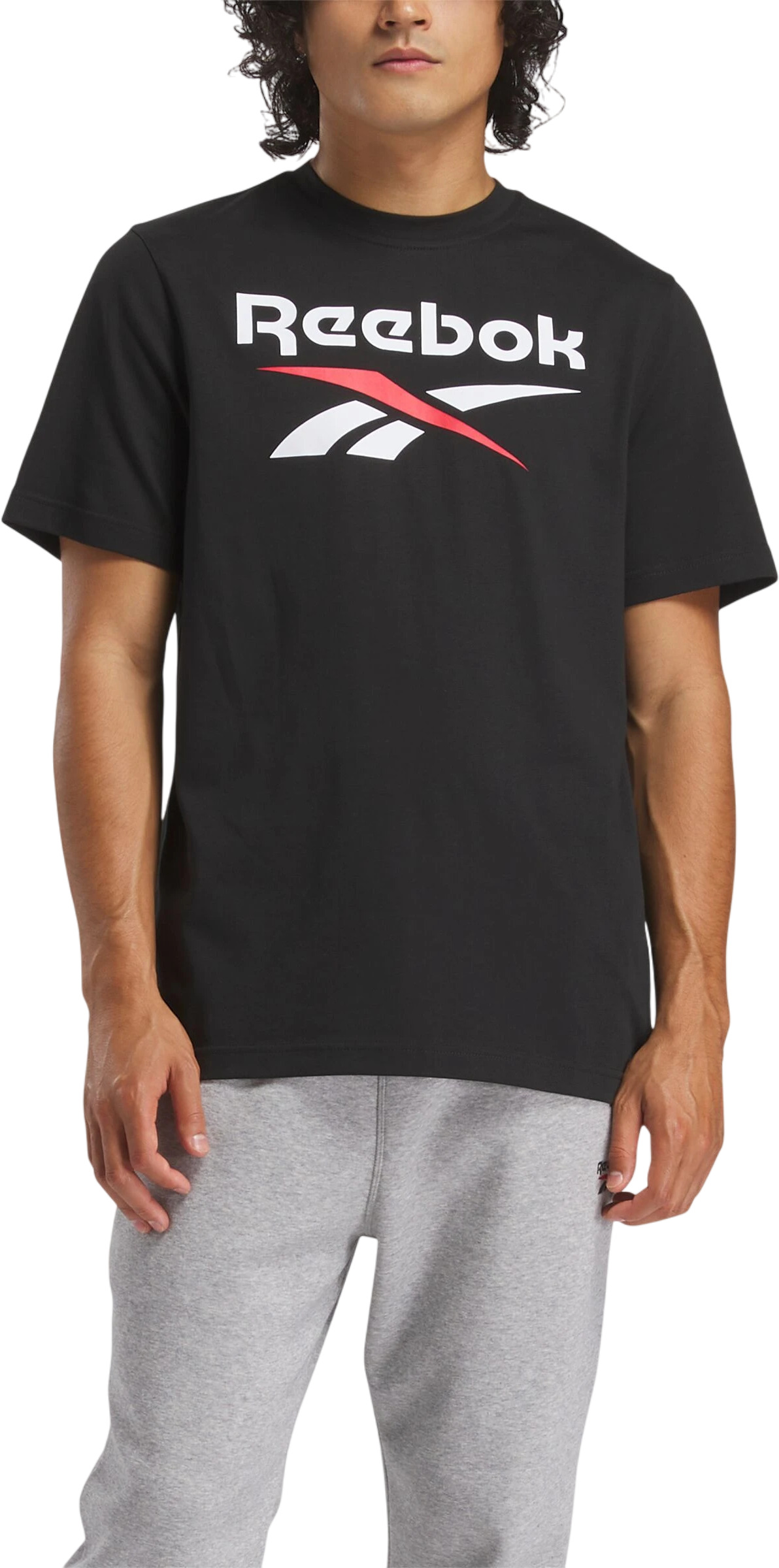 Футболка Reebok Identity Big Logo Tee