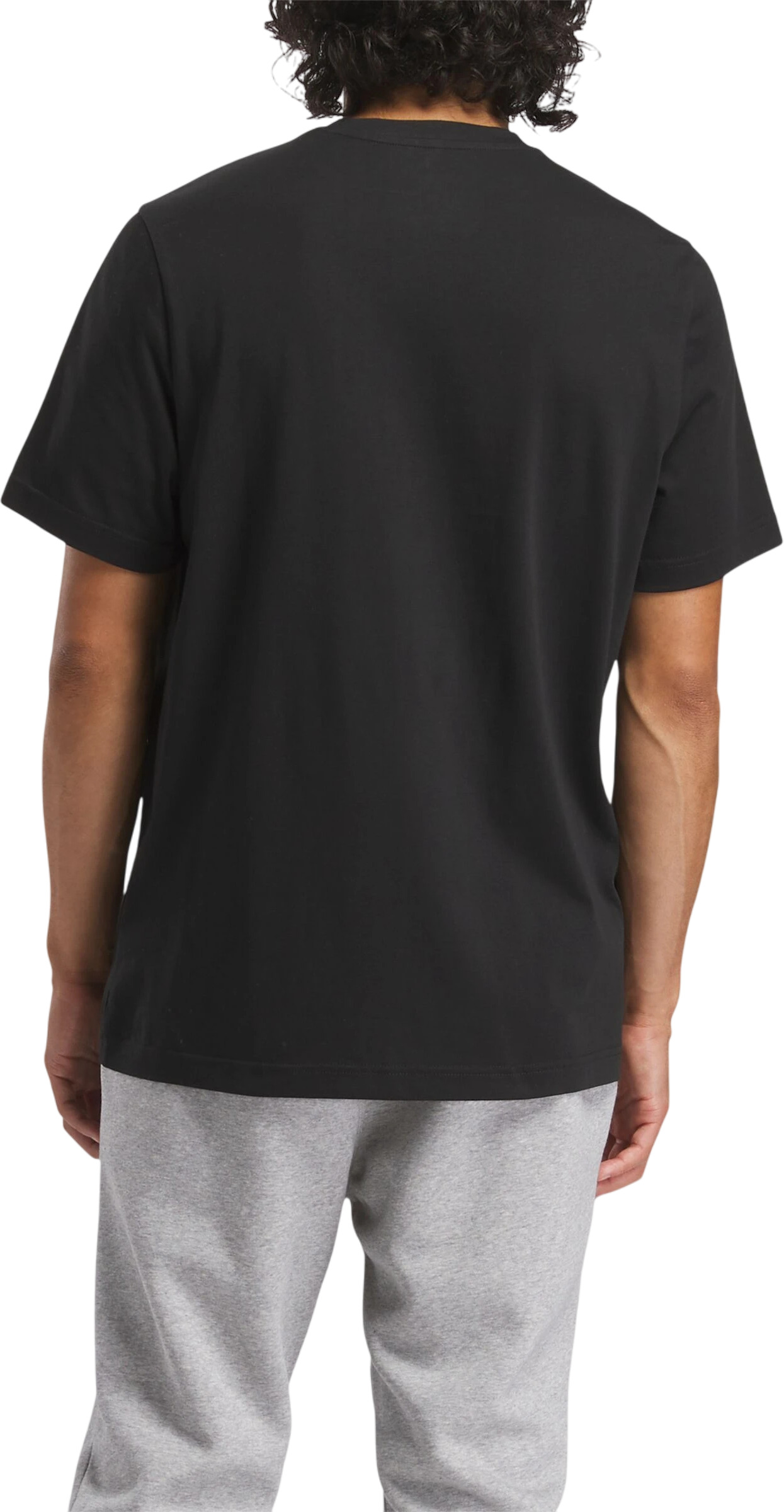 Футболка Reebok Identity Big Logo Tee