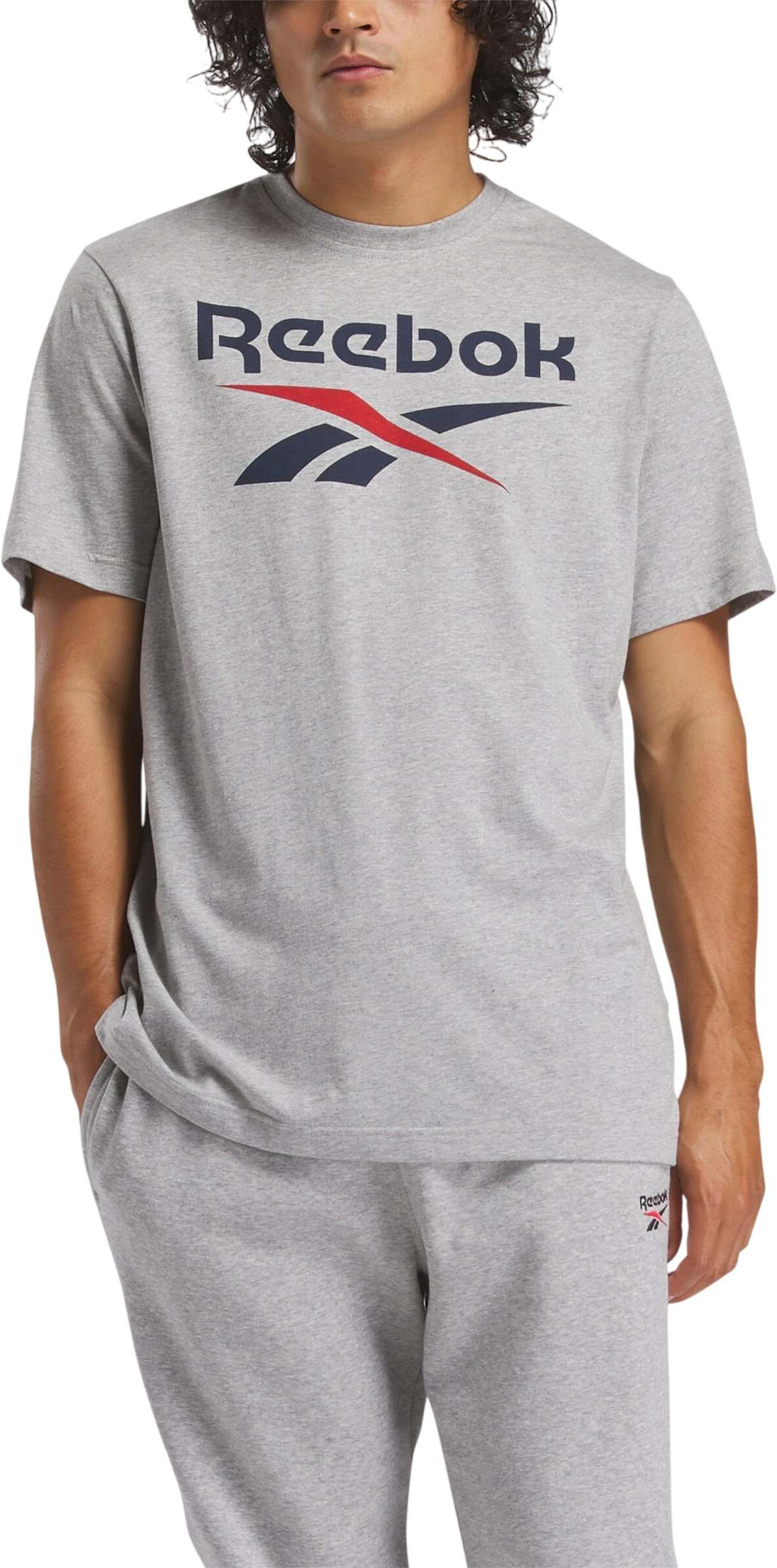 Футболка Reebok Identity Big Logo Tee