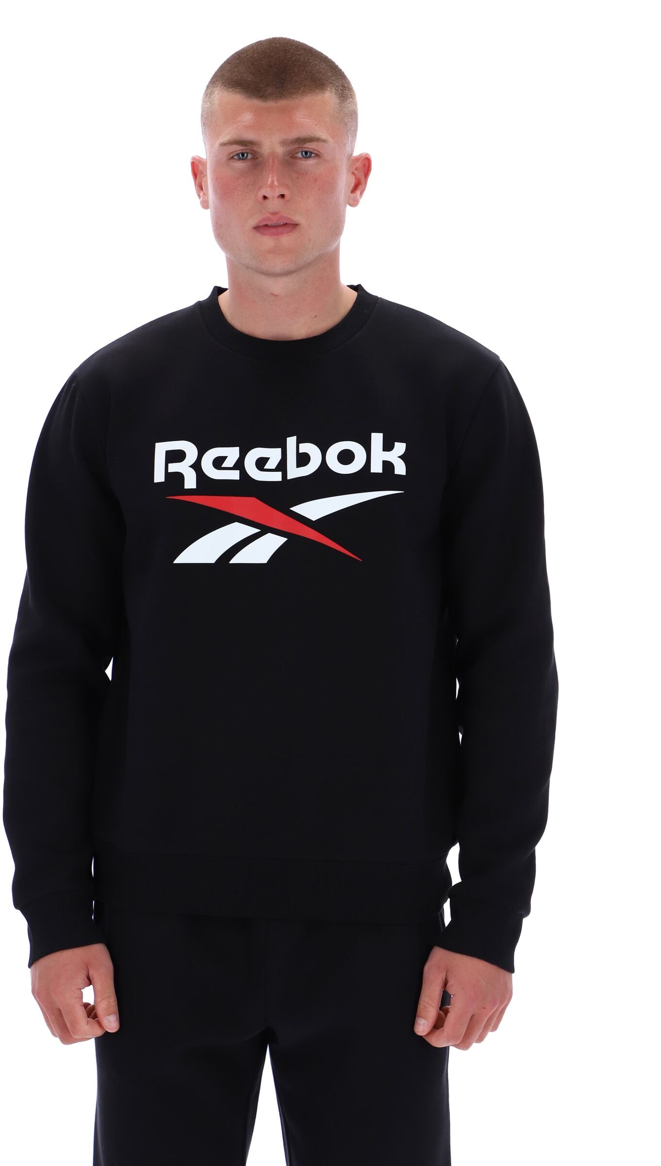 Джемпер Reebok JULIAN 2 COL LOGO CREWNECK SWEATSHIRT