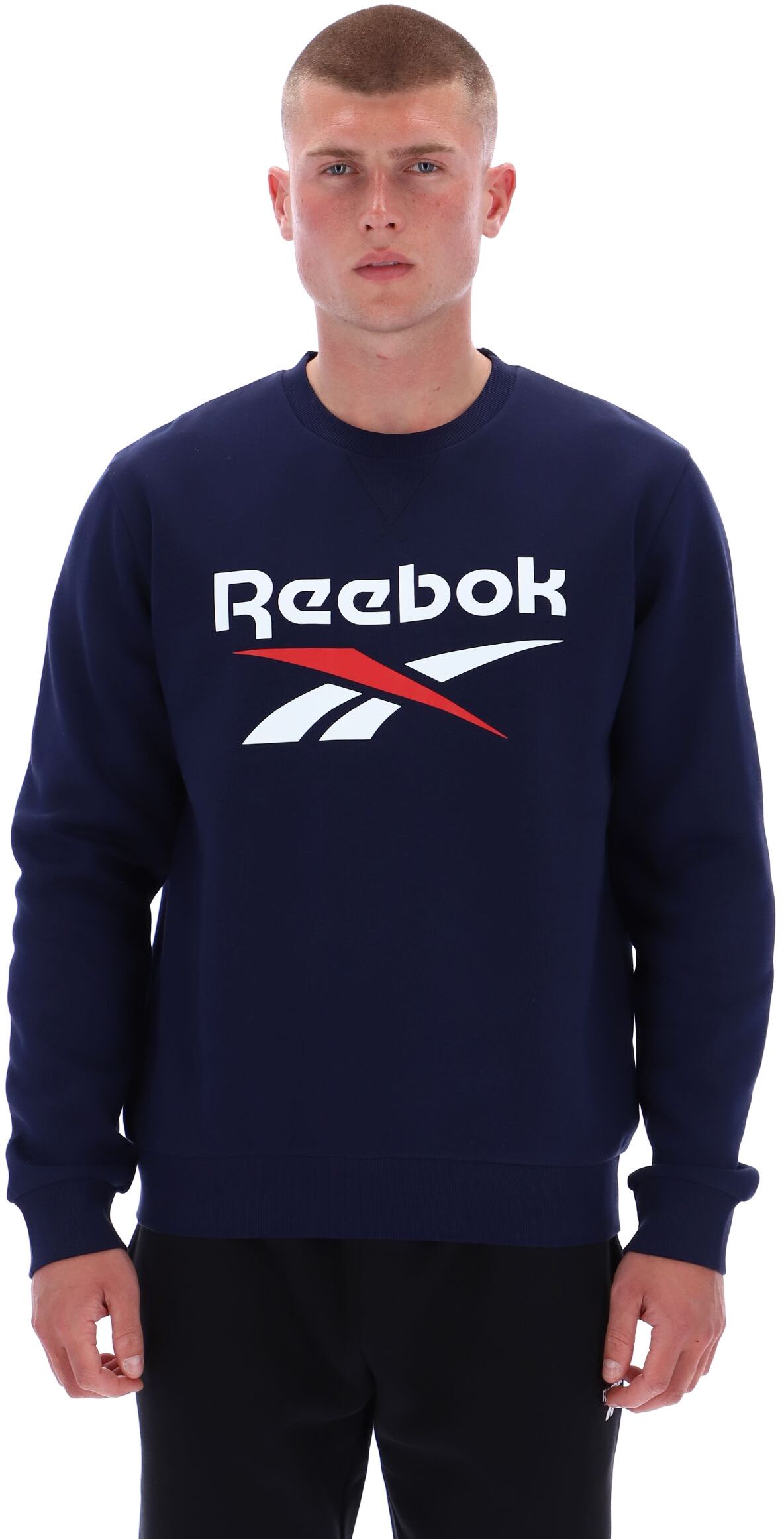 Джемпер Reebok JULIAN 2 COL LOGO CREWNECK SWEATSHIRT