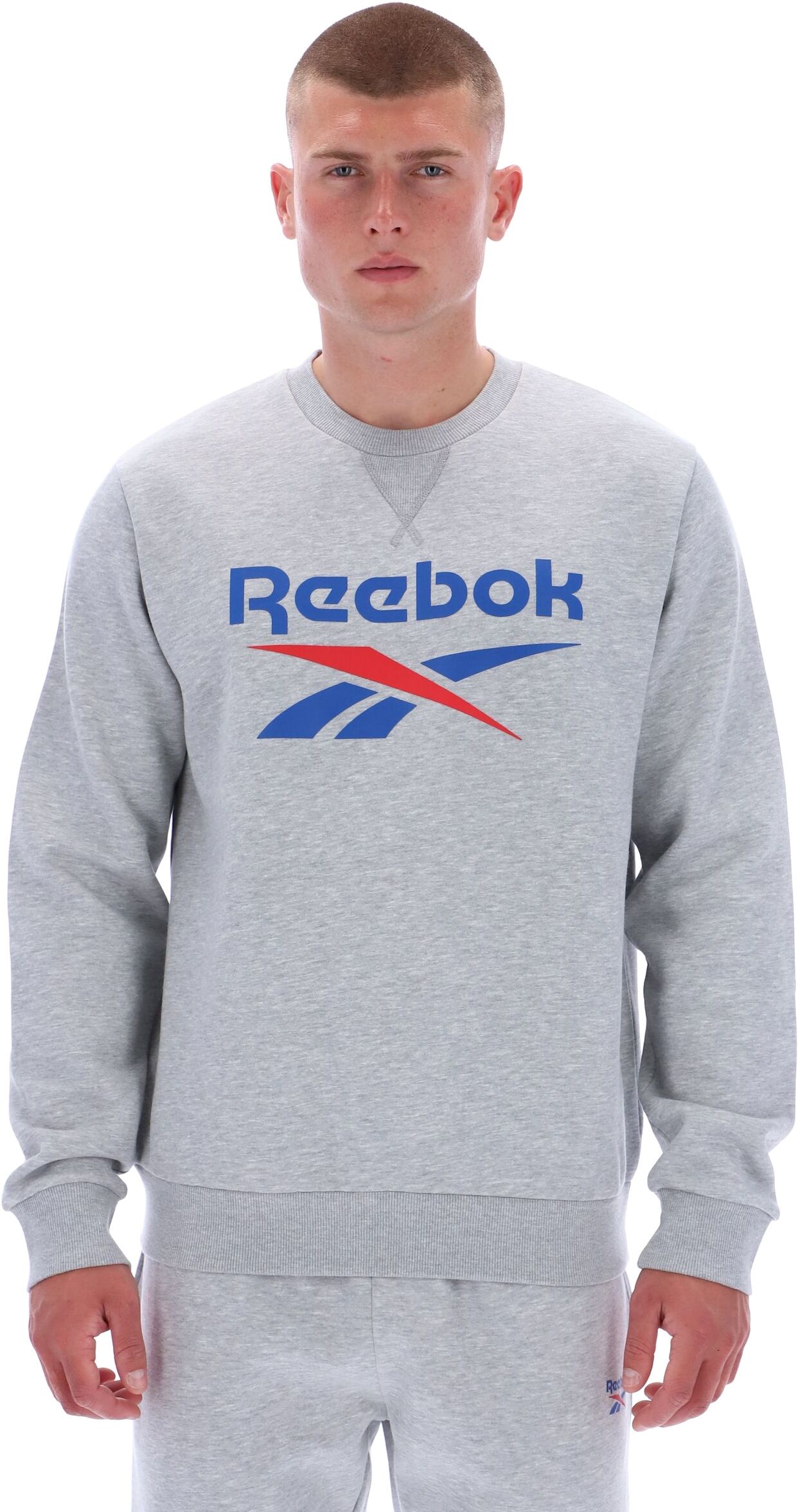 Джемпер Reebok JULIAN 2 COL LOGO CREWNECK SWEATSHIRT