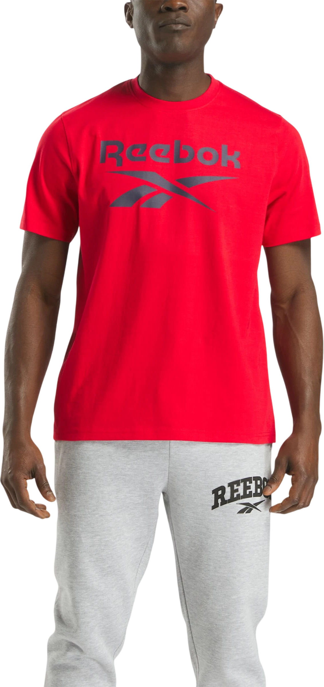 Футболка Reebok Chad Big Logo Crew Neck Ss Tee