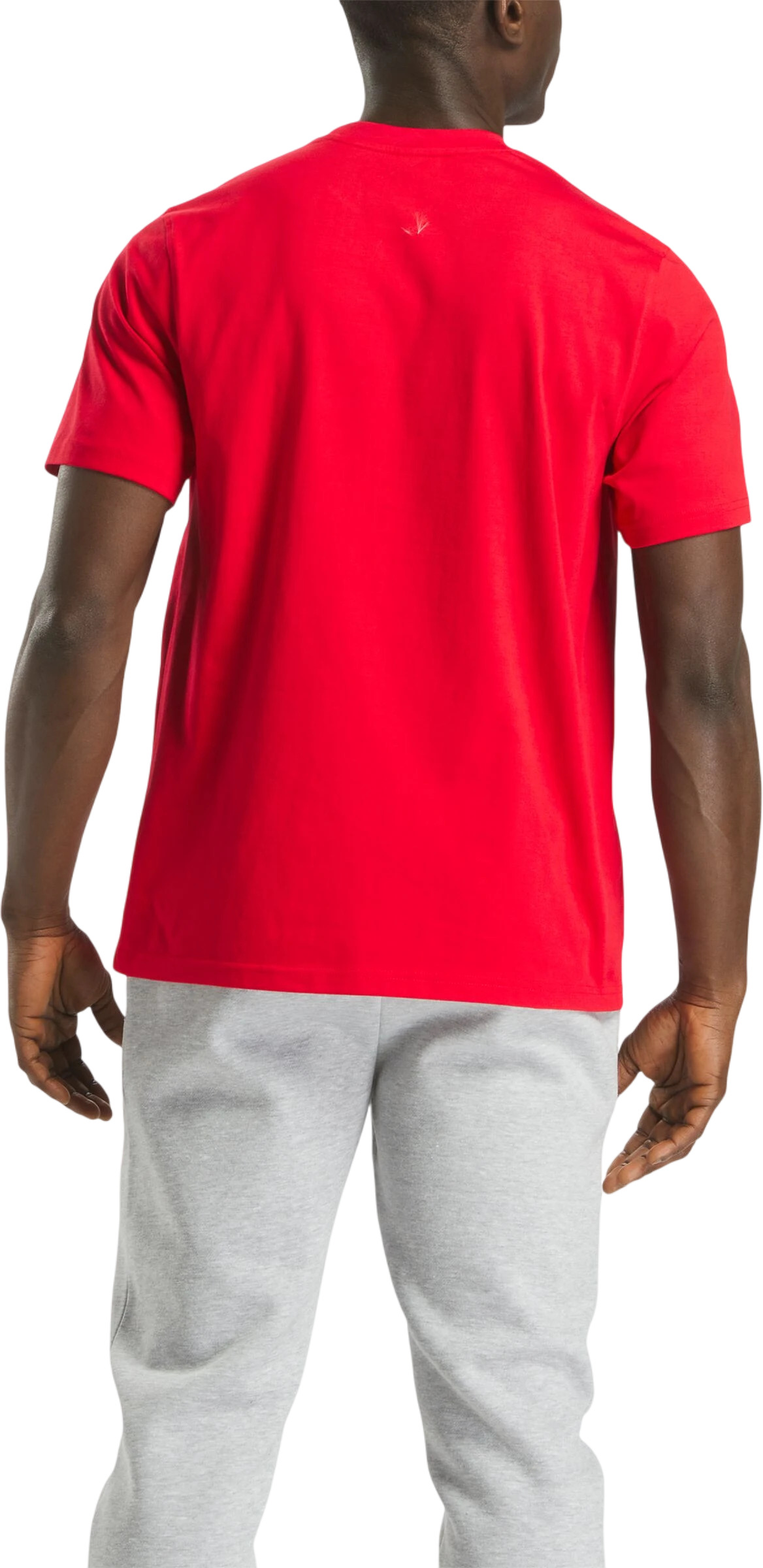 Футболка Reebok Chad Big Logo Crew Neck Ss Tee