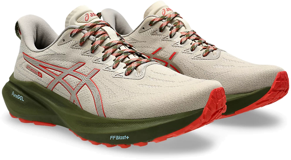 Кроссовки Asics GT-2000 13 TR