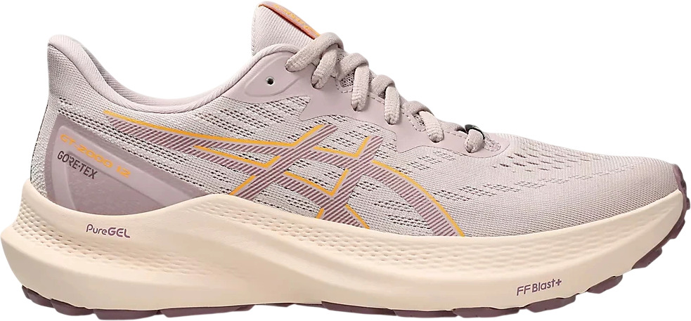 Кроссовки Asics GT-2000 12 GTX