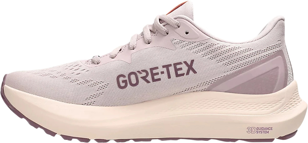 Кроссовки Asics GT-2000 12 GTX