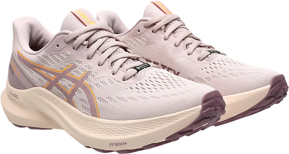 Кроссовки Asics GT-2000 12 GTX