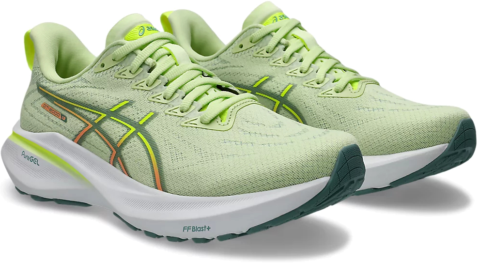 Кроссовки Asics GT-2000 13
