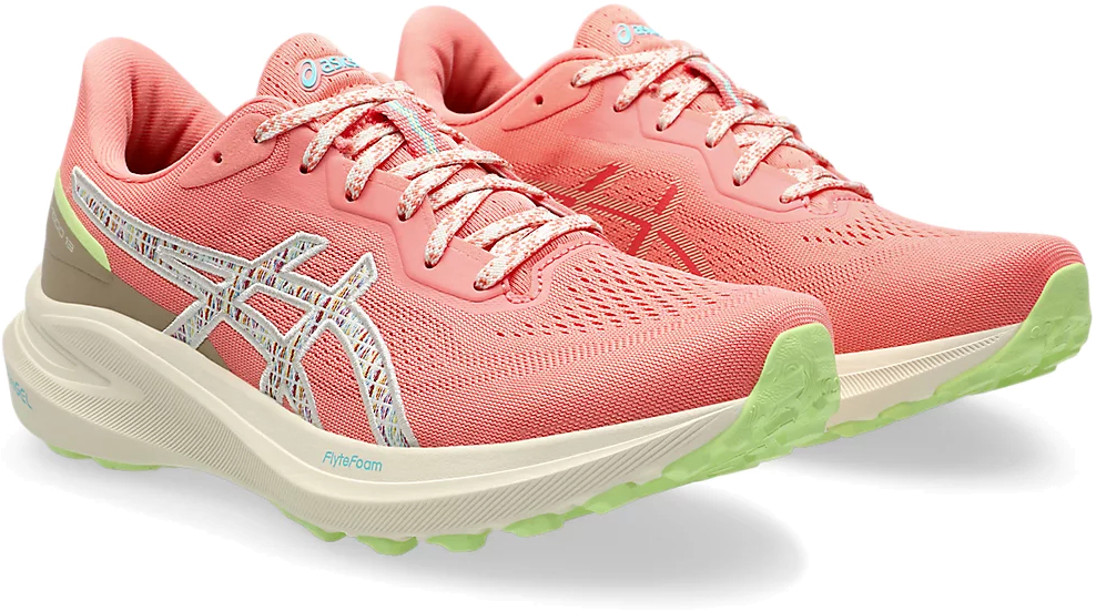 Кроссовки Asics GT-1000 13 TR