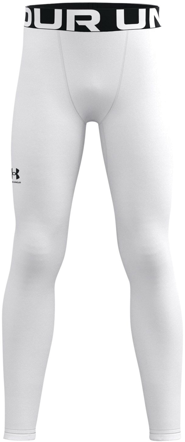 Тайтсы Under Armour CG Leggings
