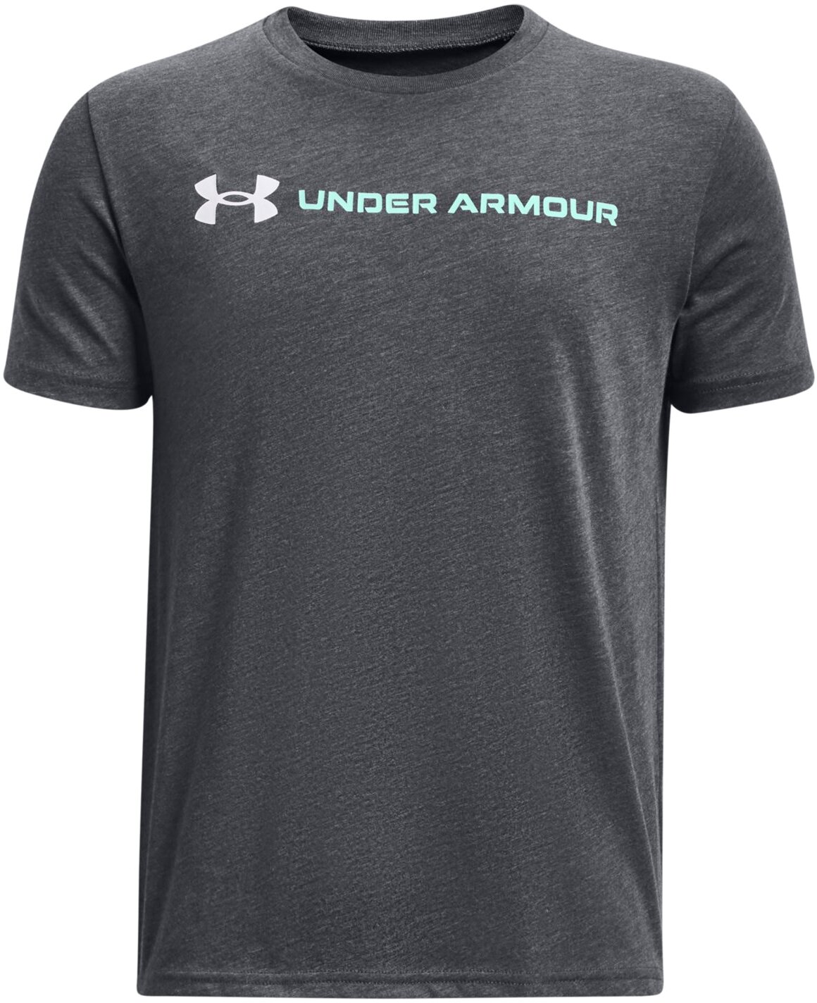 Футболка Under Armour Ua Team Issue Wordmark Ss