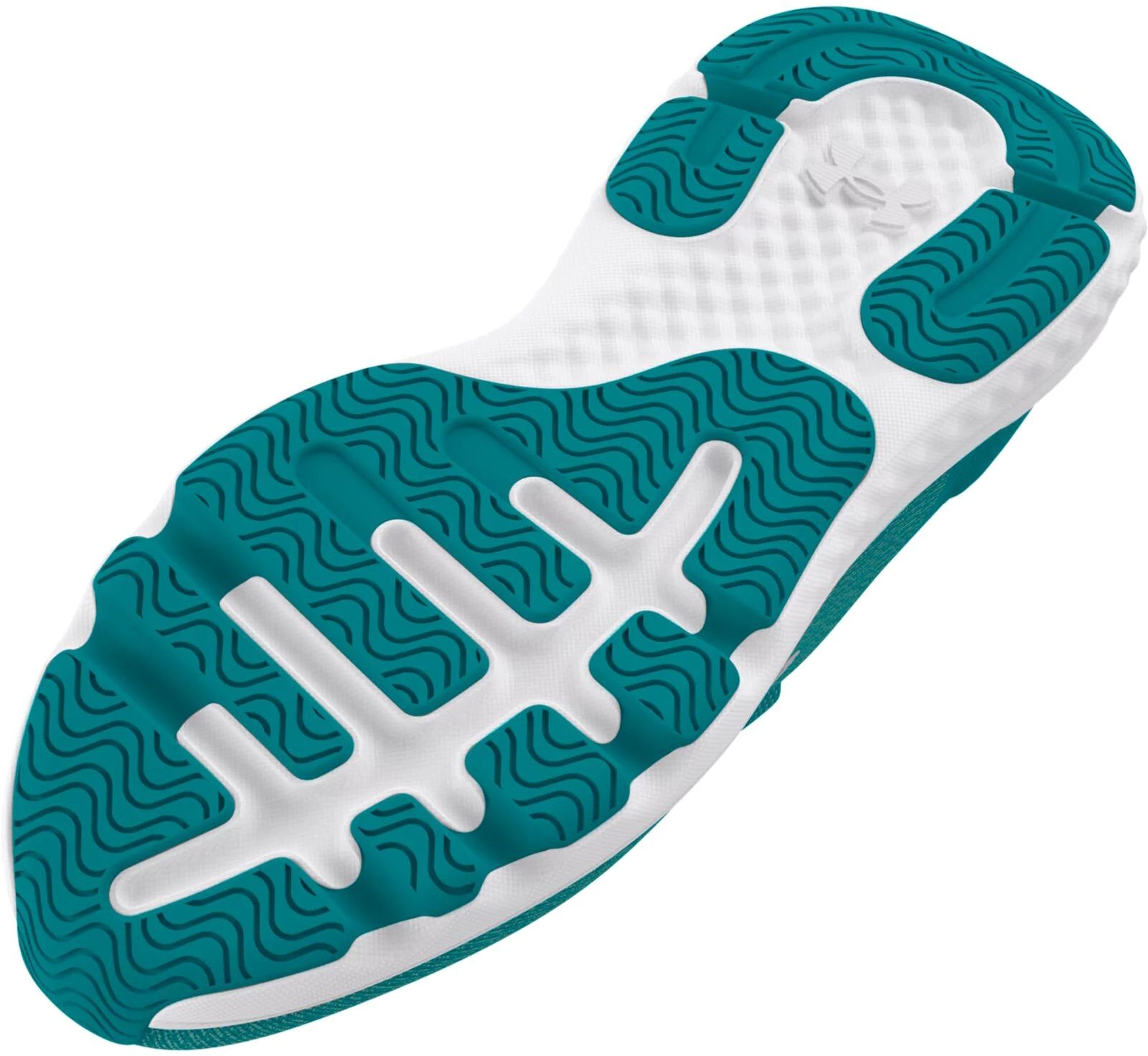 Кроссовки Under Armour UA W Charged Revitalize
