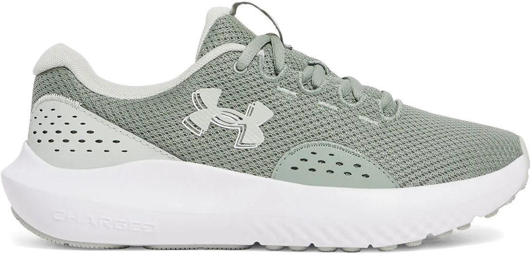 Кроссовки Under Armour UA W Charged Surge 4