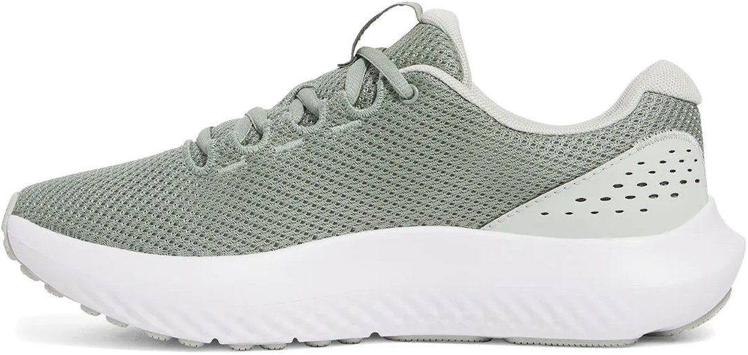 Кроссовки Under Armour UA W Charged Surge 4