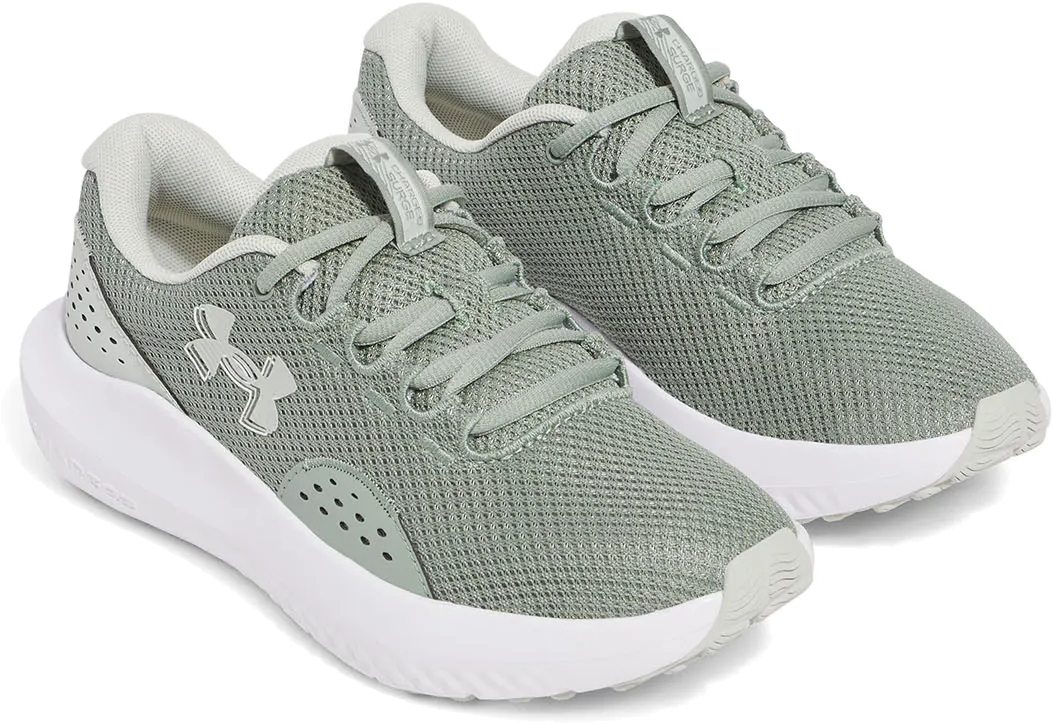 Кроссовки Under Armour UA W Charged Surge 4
