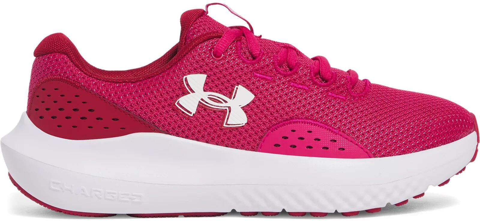 Кроссовки Under Armour UA W Charged Surge 4