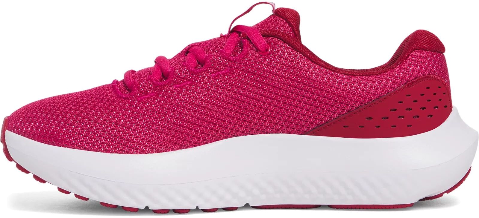 Кроссовки Under Armour UA W Charged Surge 4