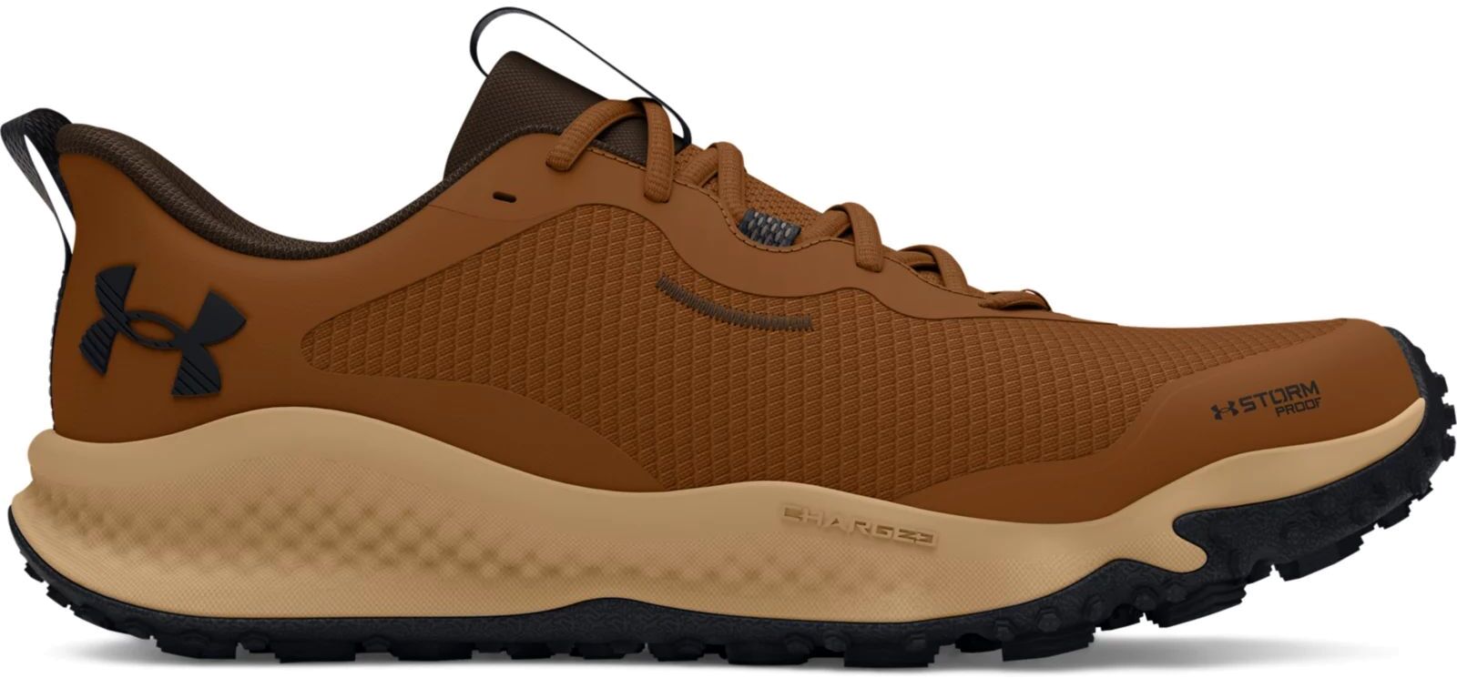 Кроссовки Under Armour UA Charged Maven Trail Wp