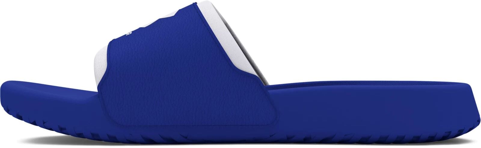 Шлепанцы Under Armour UA M Ignite Select