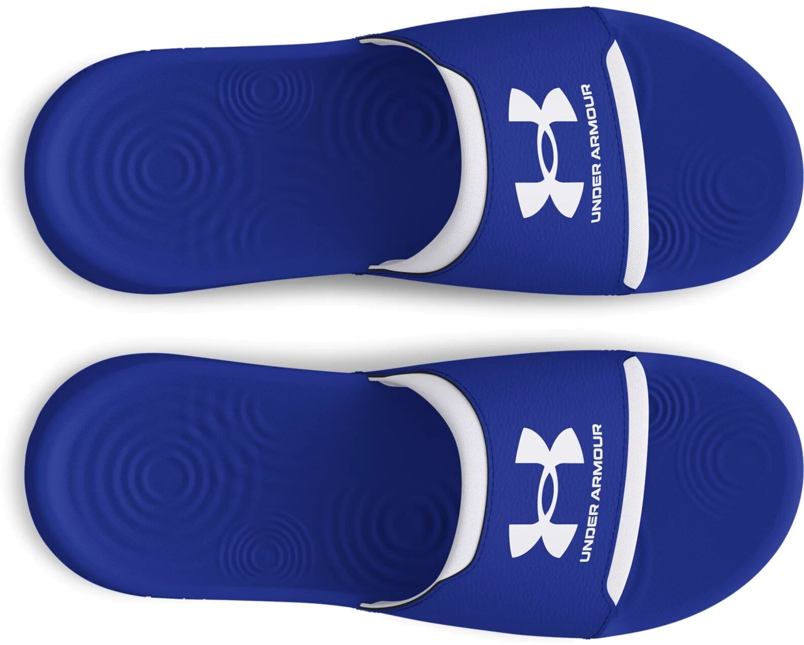 Шлепанцы Under Armour UA M Ignite Select