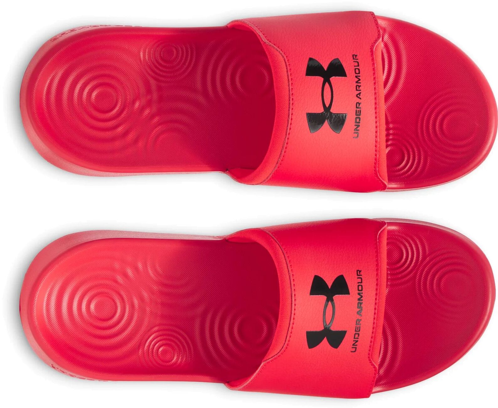Шлепанцы Under Armour UA M Ignite Select