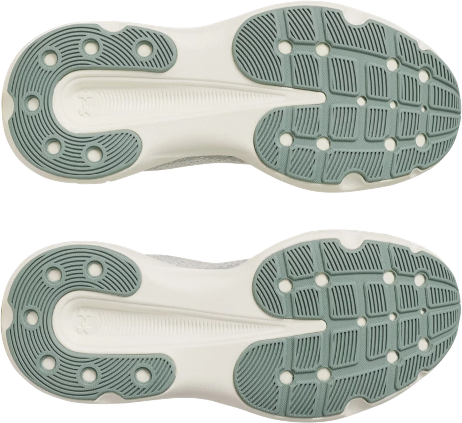 Кроссовки Under Armour UA W Infinite