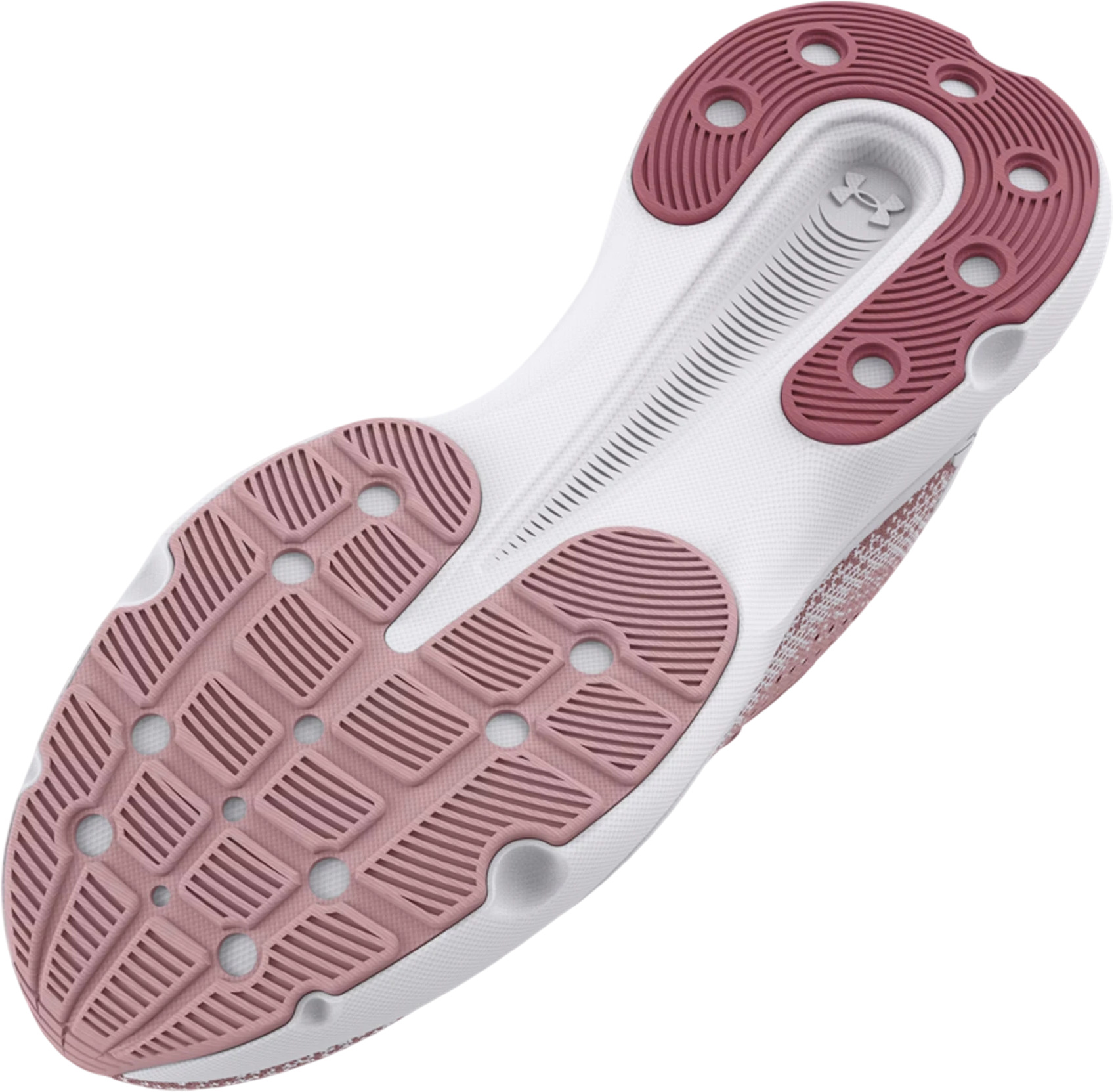 Кроссовки Under Armour UA W Infinite