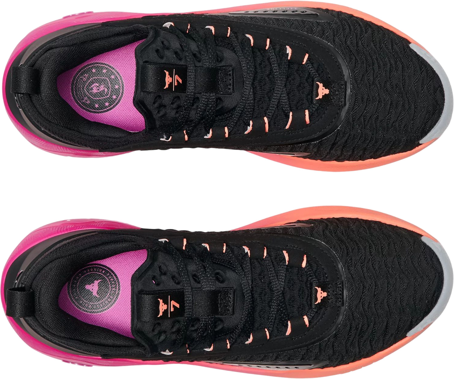 Кроссовки Under Armour Ua Project Rock 7
