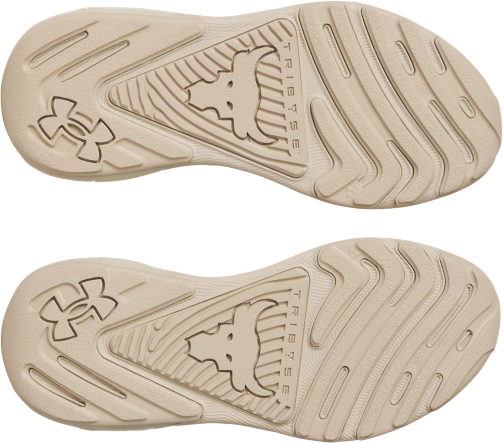 Кроссовки Under Armour Ua W Project Rock 7