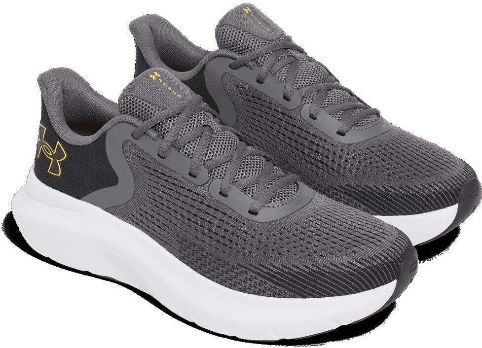 Кроссовки Under Armour UA Charged Rogue 5