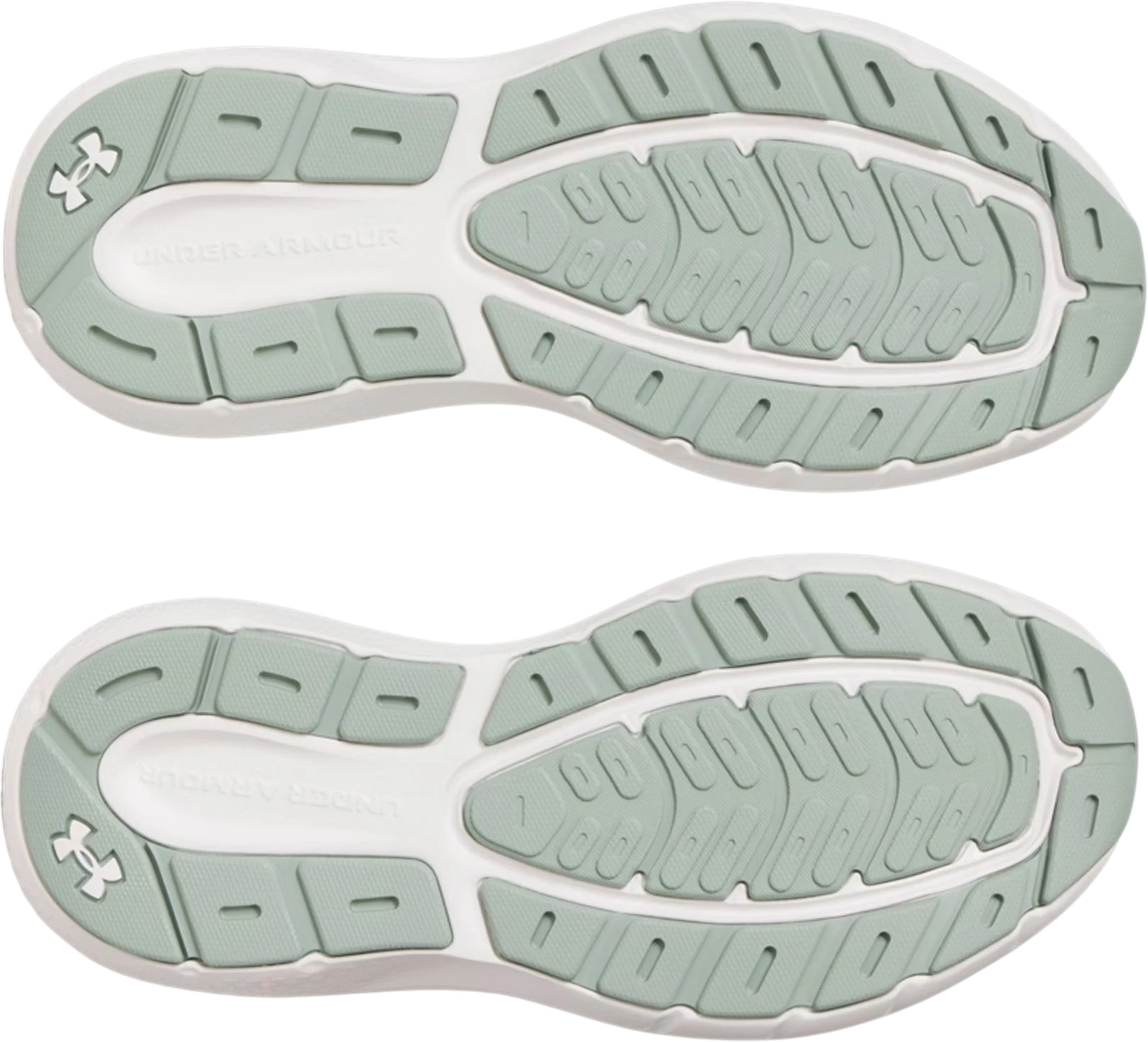Кроссовки Under Armour UA W Charged Rogue 5