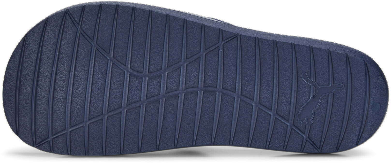 Шлепанцы Puma Divecat v2 Lite Cat
