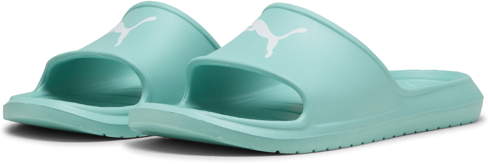 Шлепанцы Puma Divecat v2 Lite Cat