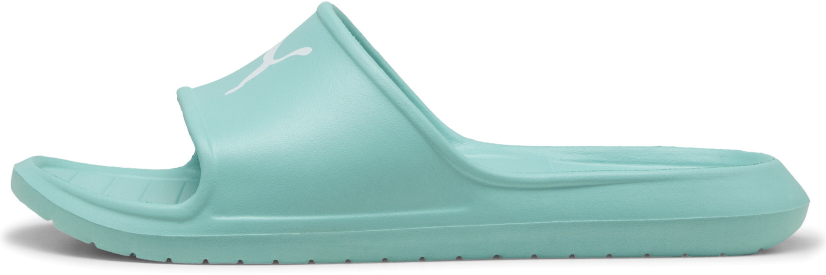 Шлепанцы Puma Divecat v2 Lite Cat