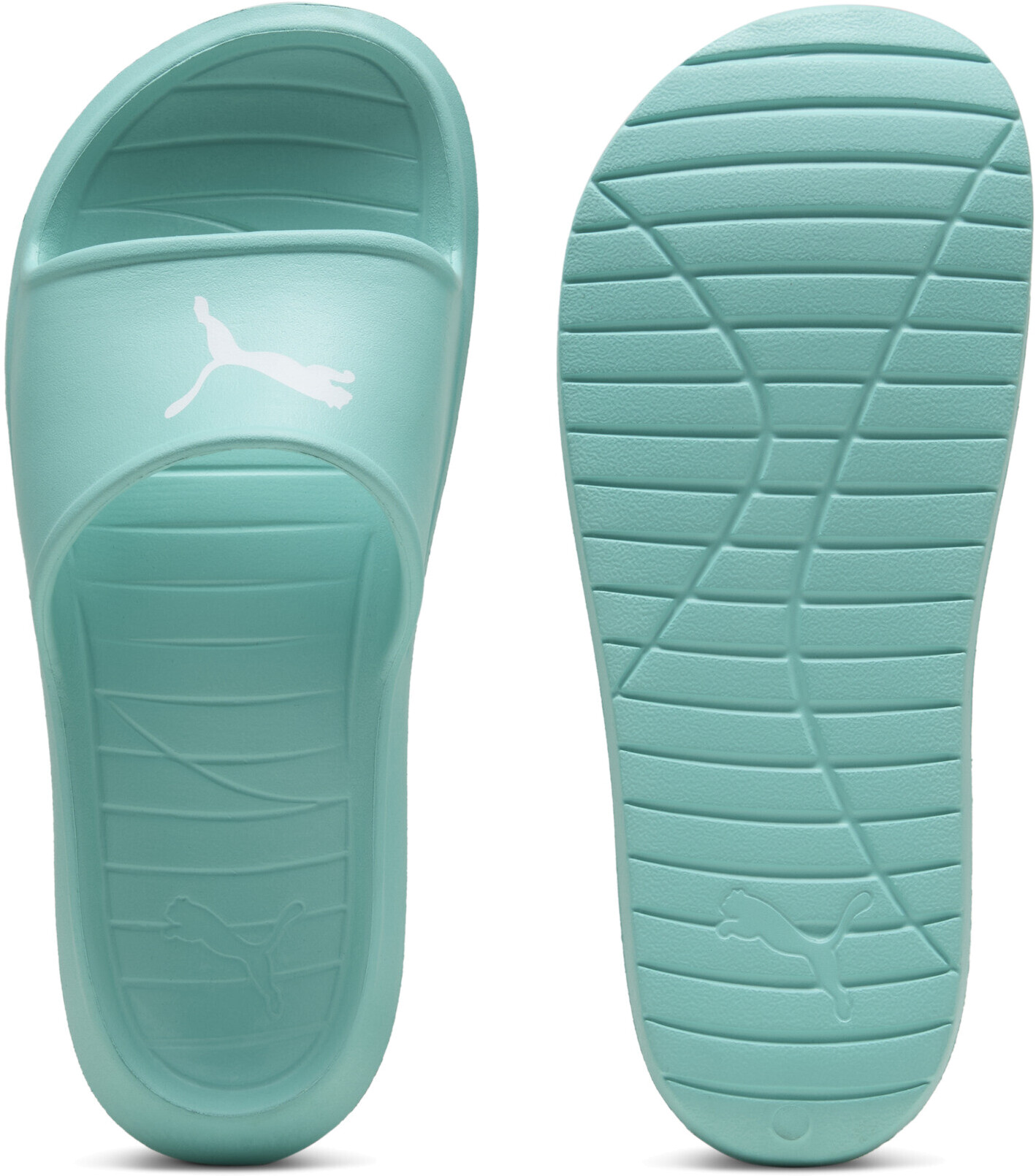 Шлепанцы Puma Divecat v2 Lite Cat