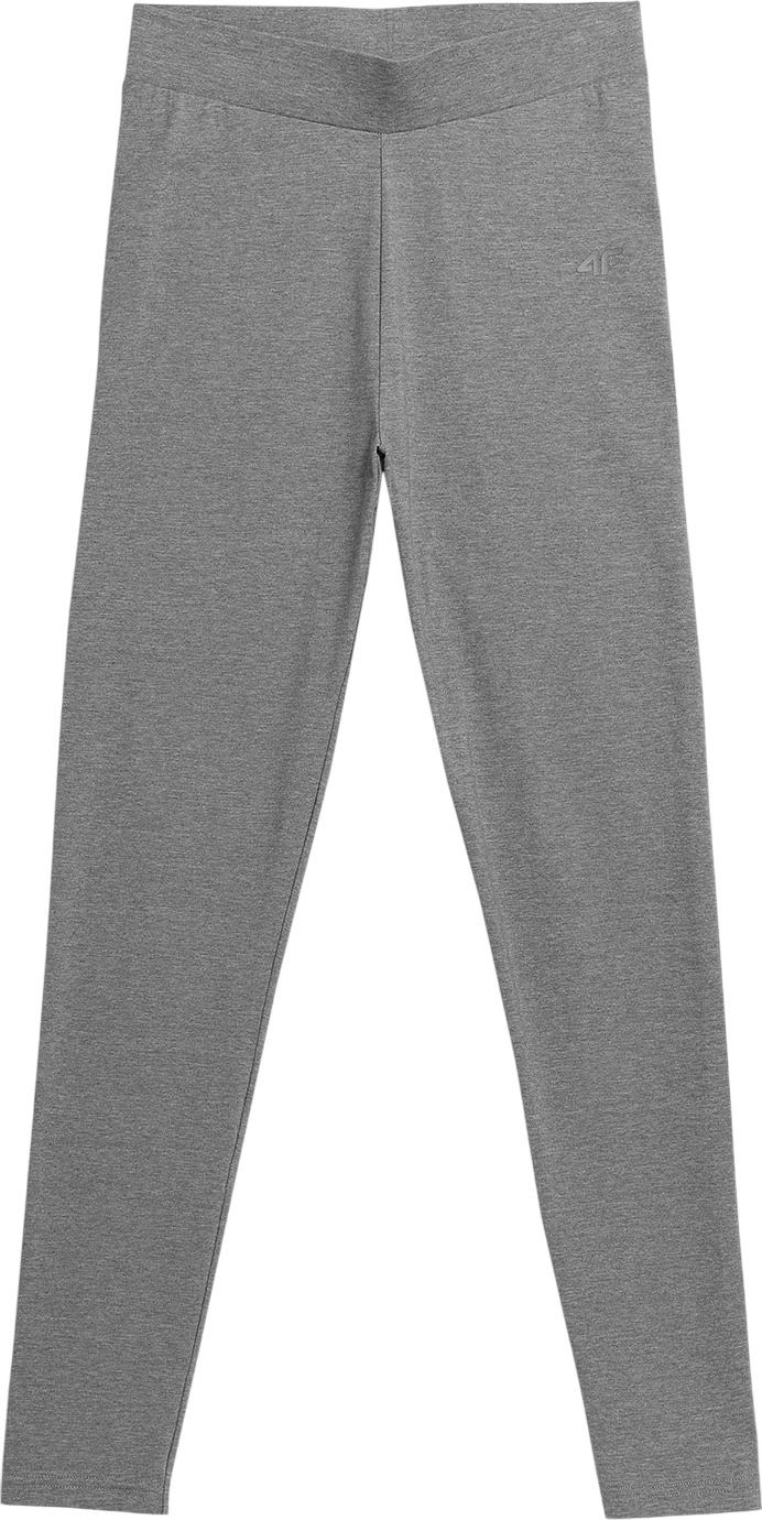 Леггинсы 4F Tights Cas F108
