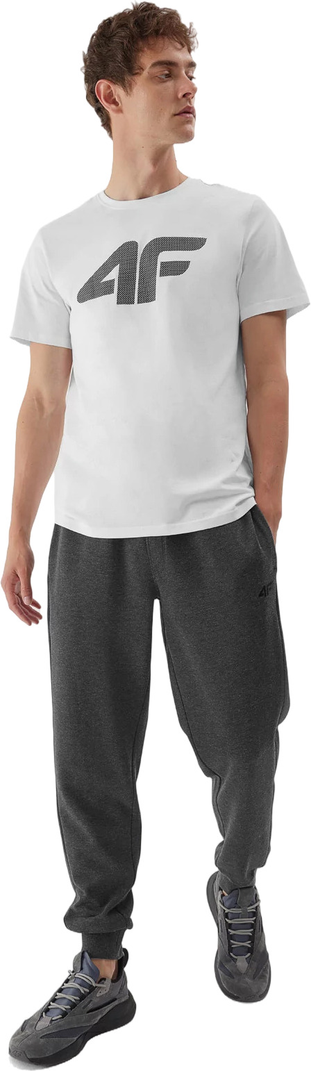 Брюки 4F TROUSERS CAS  M451