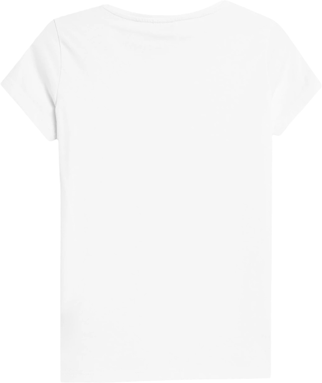 Футболка 4F Tshirt F0906