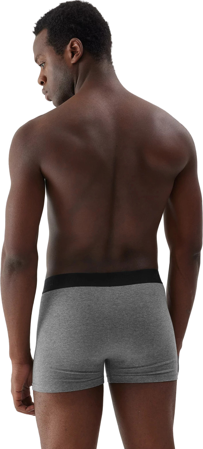 Боксеры (2пары) 4F BOXER SHORTS  M027 (2pack)
