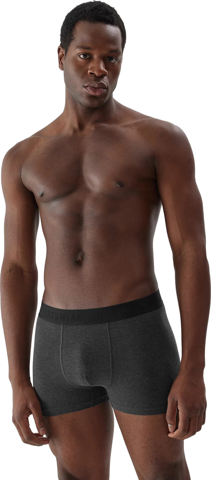 Боксеры (2пары) 4F BOXER SHORTS  M027 (2pack)