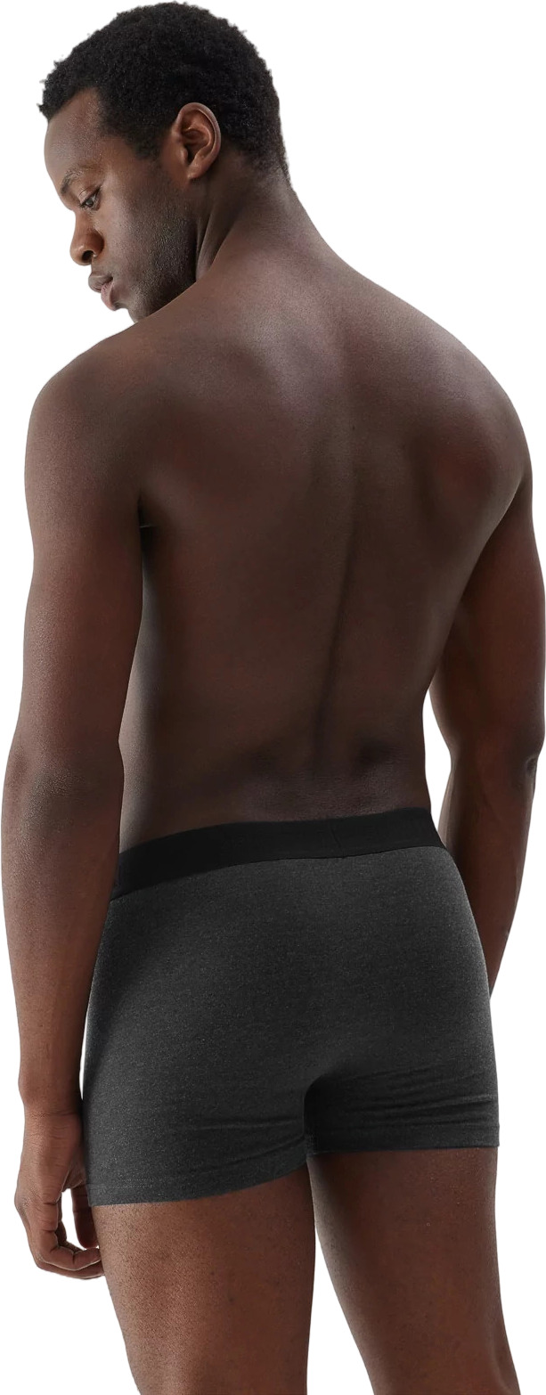 Боксеры (2пары) 4F BOXER SHORTS  M027 (2pack)