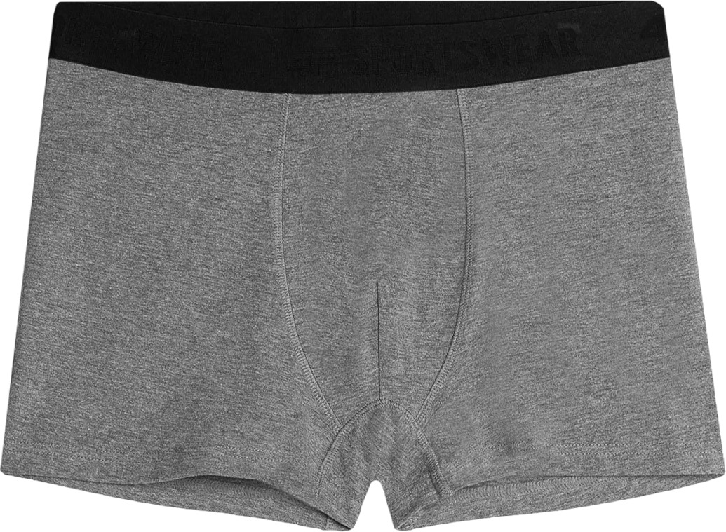 Боксеры (2пары) 4F BOXER SHORTS M027 (2pack)