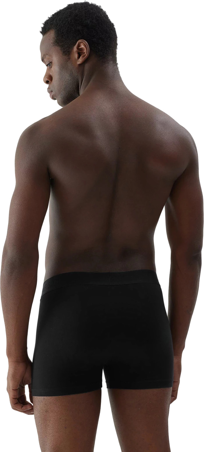 Боксеры мужские трусы 2 шт 4F Boxer Shorts M027 (2Pack)