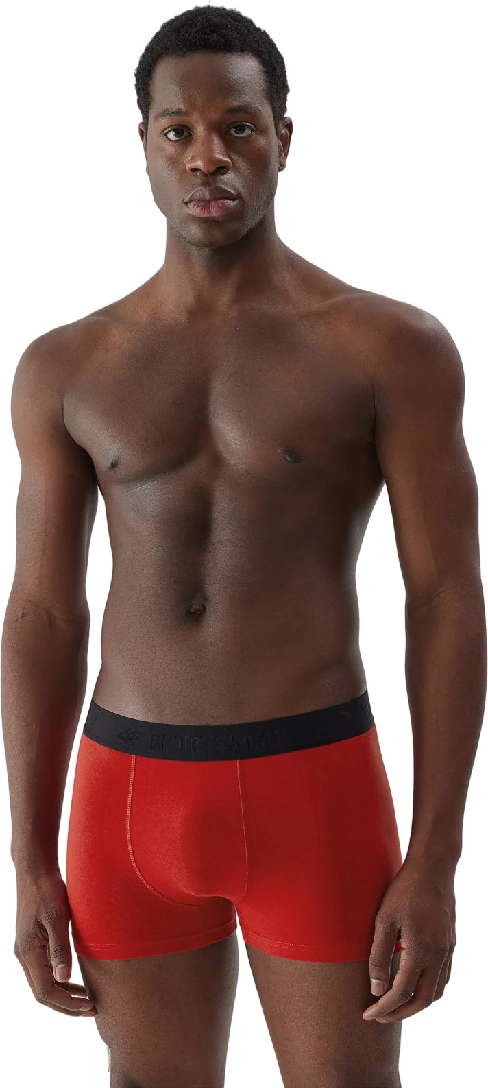 Боксеры мужские трусы 2 шт 4F Boxer Shorts M027 (2Pack)
