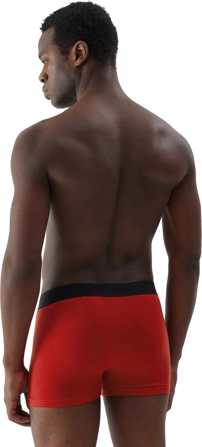 Боксеры мужские трусы 2 шт 4F Boxer Shorts M027 (2Pack)